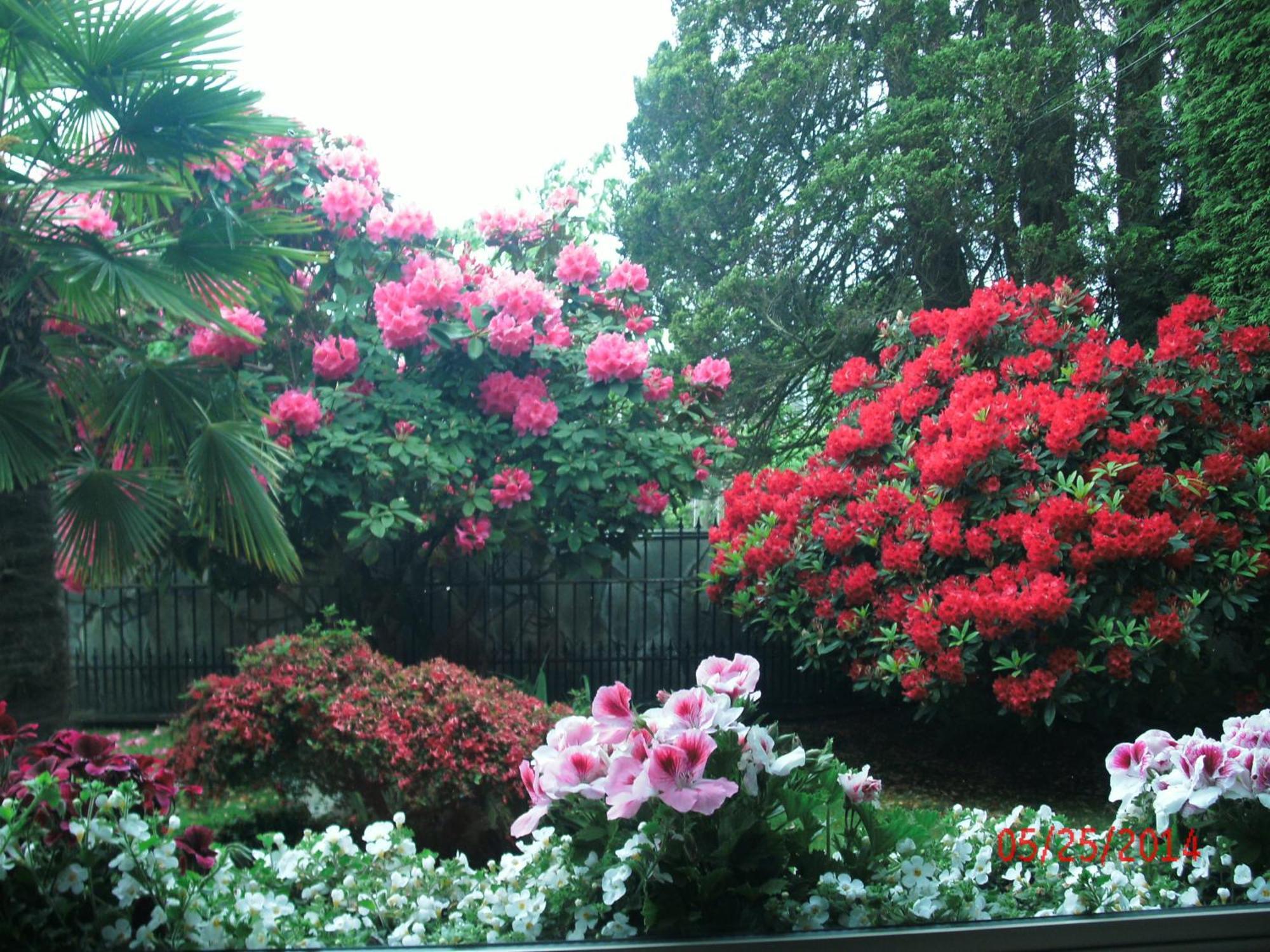 The Stone Hedge Bed And Breakfast Richmond Bagian luar foto